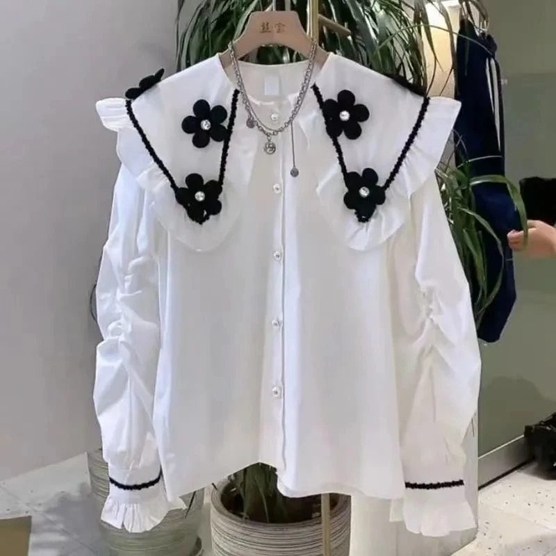 플러스 사이즈 긴팔 빅 칼라 블라우스, 트렌드 2024 - Winter Clothing Trends For Women 리뷰 및 가격